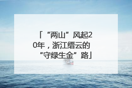 “两山”风起20年，浙江缙云的“守绿生金”路